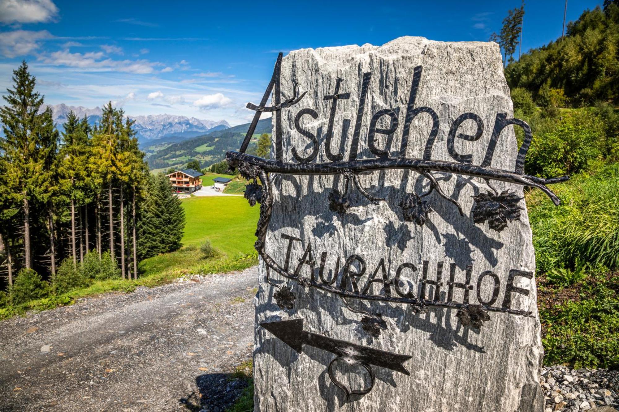 アルペンドルフTaurachhof Astlehenアパートメント エクステリア 写真